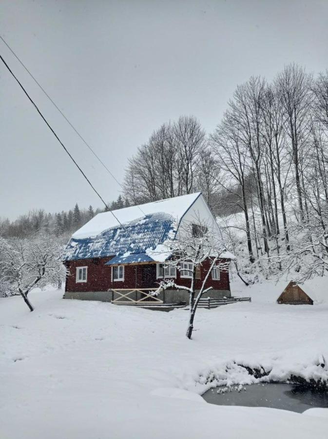 Sadyba Na Luzi Verkhne-Studënyy Exterior foto